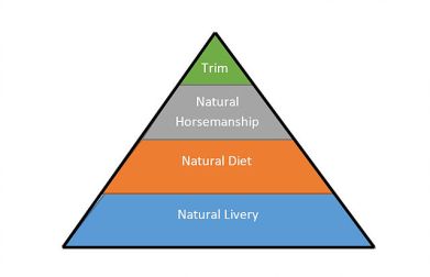 natural-horse-care-pyramid